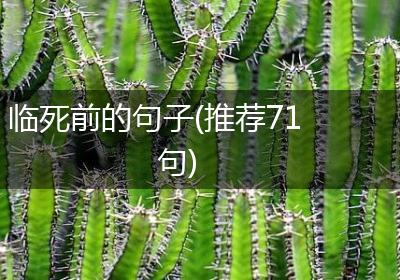 临死前的句子(推荐71句)