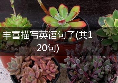 丰富描写英语句子(共120句)