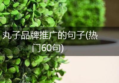丸子品牌推广的句子(热门60句)