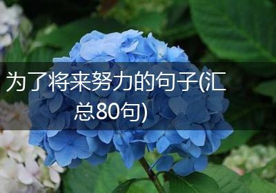 为了将来努力的句子(汇总80句)