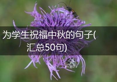 为学生祝福中秋的句子(汇总50句)