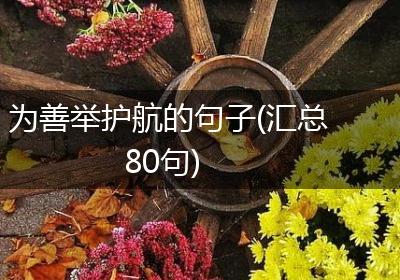 为善举护航的句子(汇总80句)