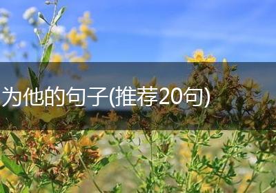 为他的句子(推荐20句)