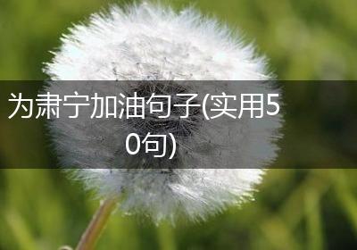 为肃宁加油句子(实用50句)