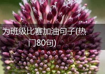 为班级比赛加油句子(热门80句)