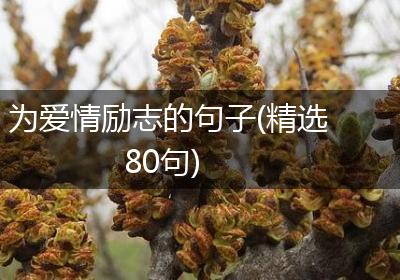 为爱情励志的句子(精选80句)