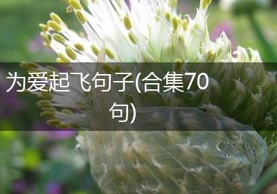 为爱起飞句子(合集70句)