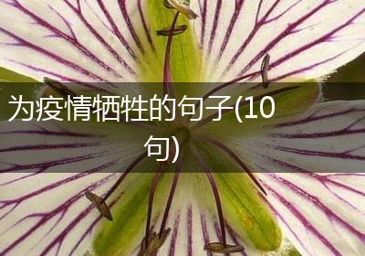 为疫情牺牲的句子(10句)
