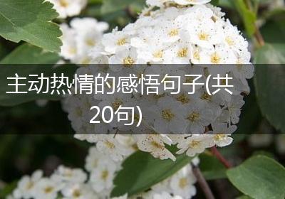 主动热情的感悟句子(共20句)