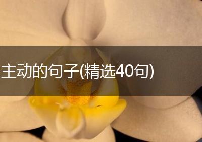 主动的句子(精选40句)