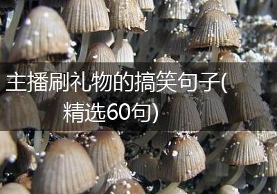 主播刷礼物的搞笑句子(精选60句)