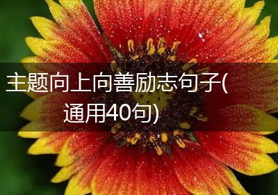 主题向上向善励志句子(通用40句)