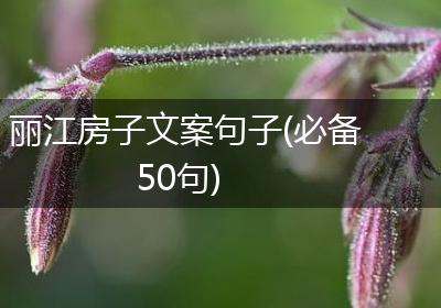 丽江房子文案句子(必备50句)