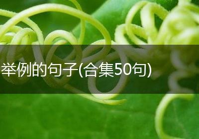 举例的句子(合集50句)