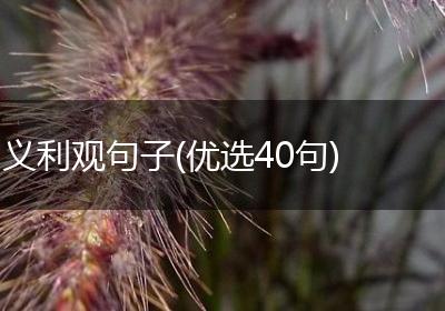 义利观句子(优选40句)