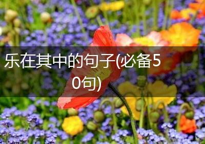乐在其中的句子(必备50句)