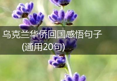 乌克兰华侨回国感悟句子(通用20句)