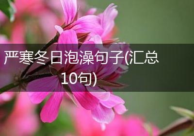 严寒冬日泡澡句子(汇总10句)