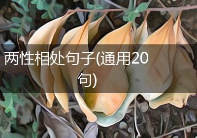 两性相处句子(通用20句)