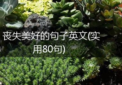 丧失美好的句子英文(实用80句)