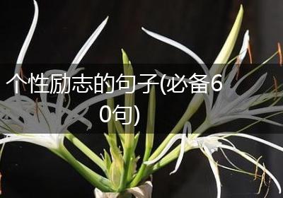 个性励志的句子(必备60句)