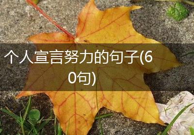 个人宣言努力的句子(60句)