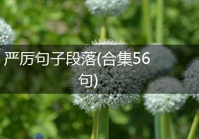 严厉句子段落(合集56句)