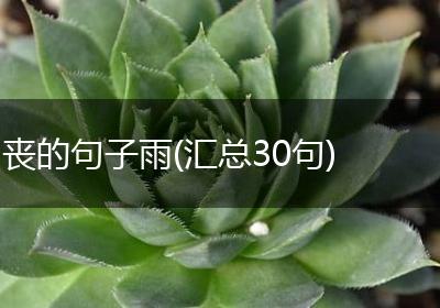 丧的句子雨(汇总30句)