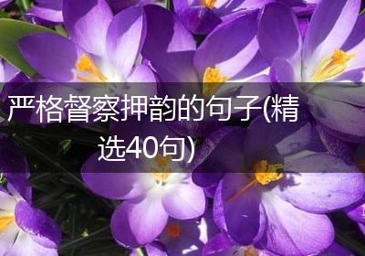 严格督察押韵的句子(精选40句)