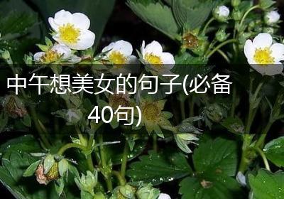中午想美女的句子(必备40句)