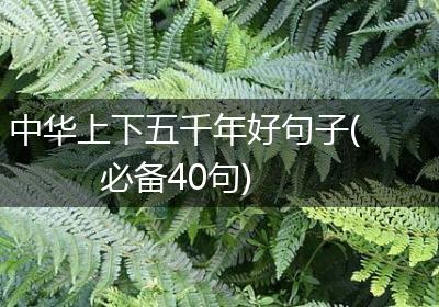 中华上下五千年好句子(必备40句)