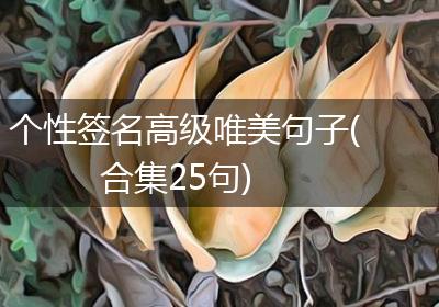 个性签名高级唯美句子(合集25句)