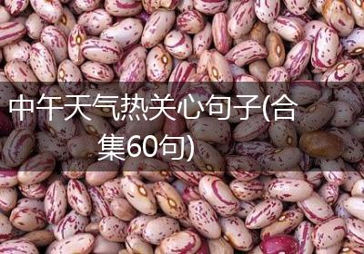 中午天气热关心句子(合集60句)