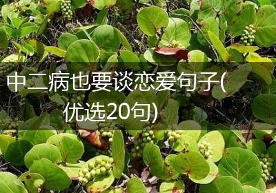 中二病也要谈恋爱句子(优选20句)