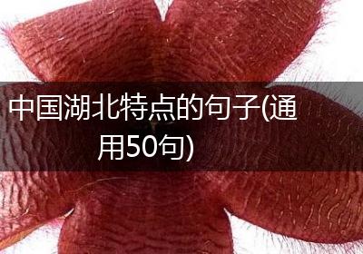 中国湖北特点的句子(通用50句)