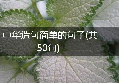 中华造句简单的句子(共50句)