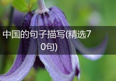 中国的句子描写(精选70句)