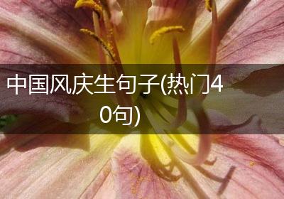 中国风庆生句子(热门40句)