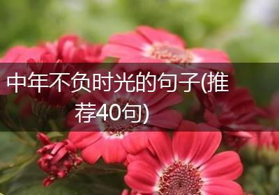 中年不负时光的句子(推荐40句)