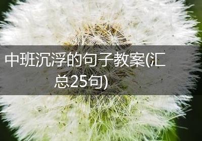 中班沉浮的句子教案(汇总25句)