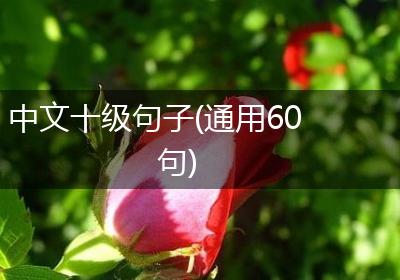 中文十级句子(通用60句)