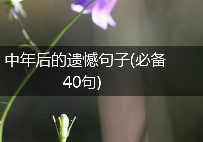 中年后的遗憾句子(必备40句)