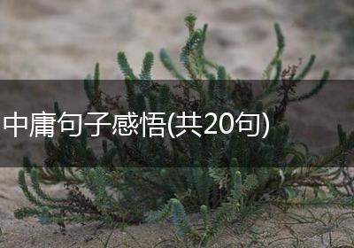 中庸句子感悟(共20句)