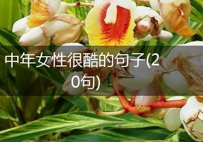 中年女性很酷的句子(20句)