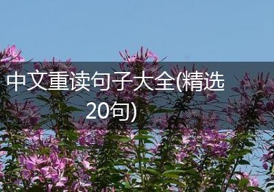 中文重读句子大全(精选20句)