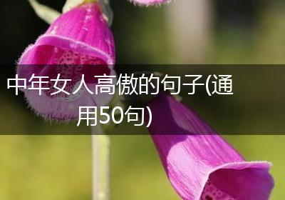 中年女人高傲的句子(通用50句)