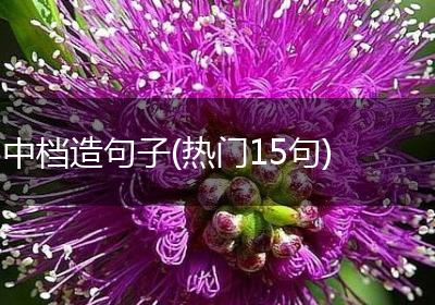 中档造句子(热门15句)