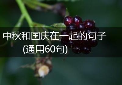中秋和国庆在一起的句子(通用60句)