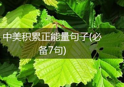 中美积累正能量句子(必备7句)