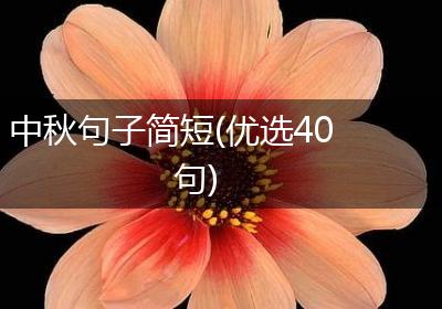 中秋句子简短(优选40句)